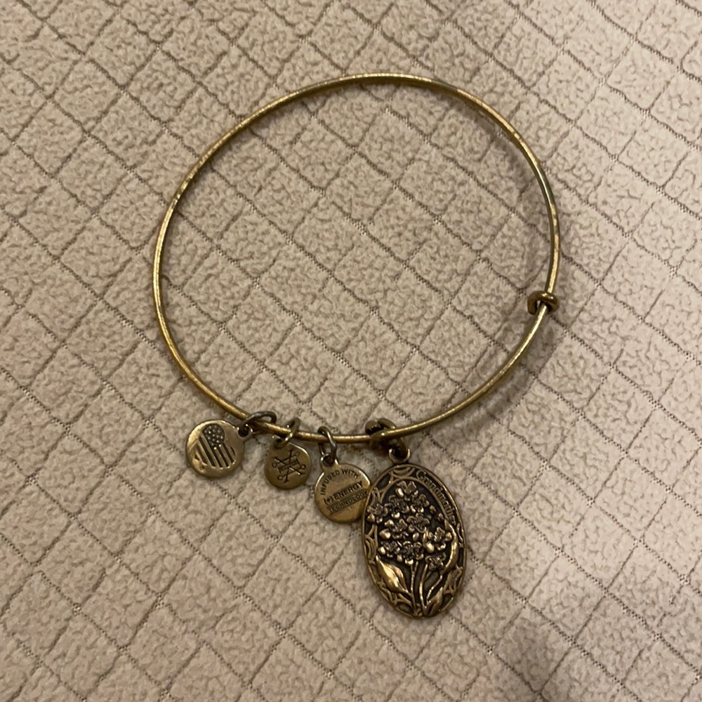 Alex and Ani bracelet
